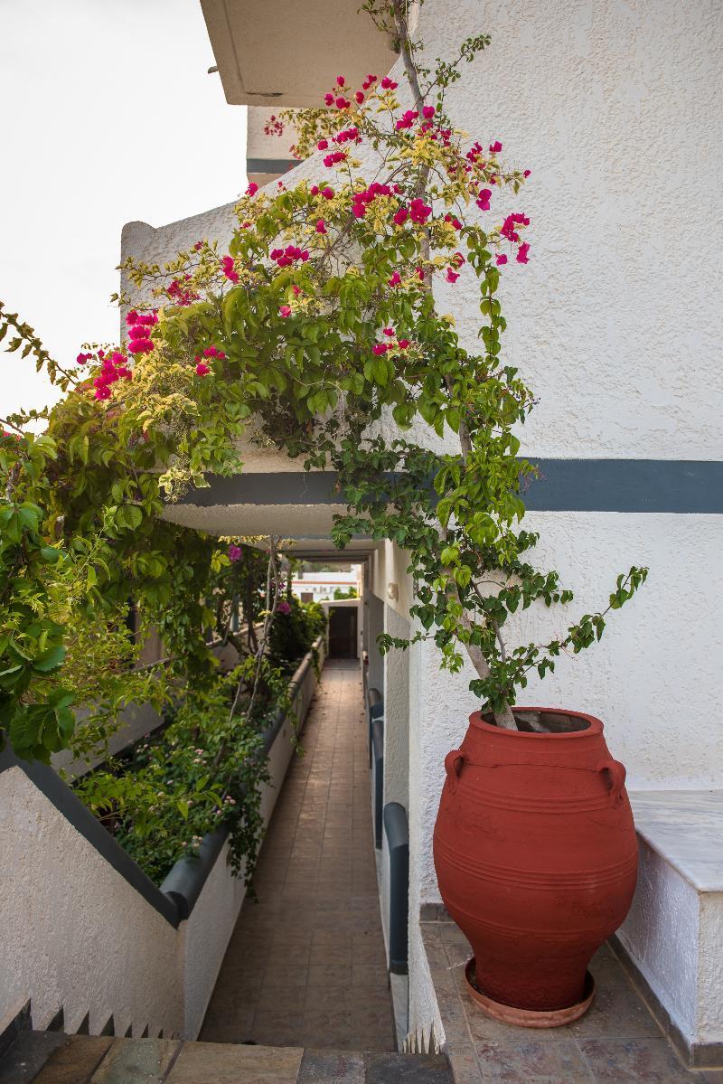 Fevro Hotel Αγία Γαλήνη Εξωτερικό φωτογραφία