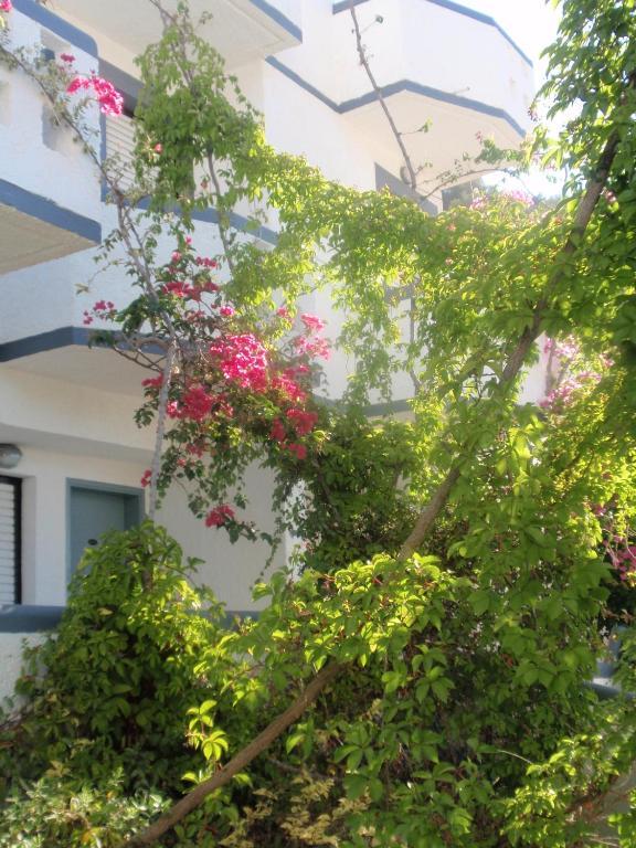 Fevro Hotel Αγία Γαλήνη Δωμάτιο φωτογραφία