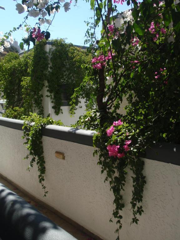 Fevro Hotel Αγία Γαλήνη Δωμάτιο φωτογραφία