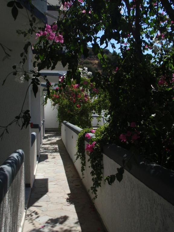 Fevro Hotel Αγία Γαλήνη Δωμάτιο φωτογραφία