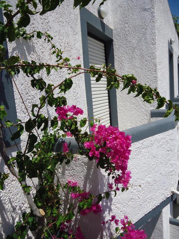 Fevro Hotel Αγία Γαλήνη Εξωτερικό φωτογραφία